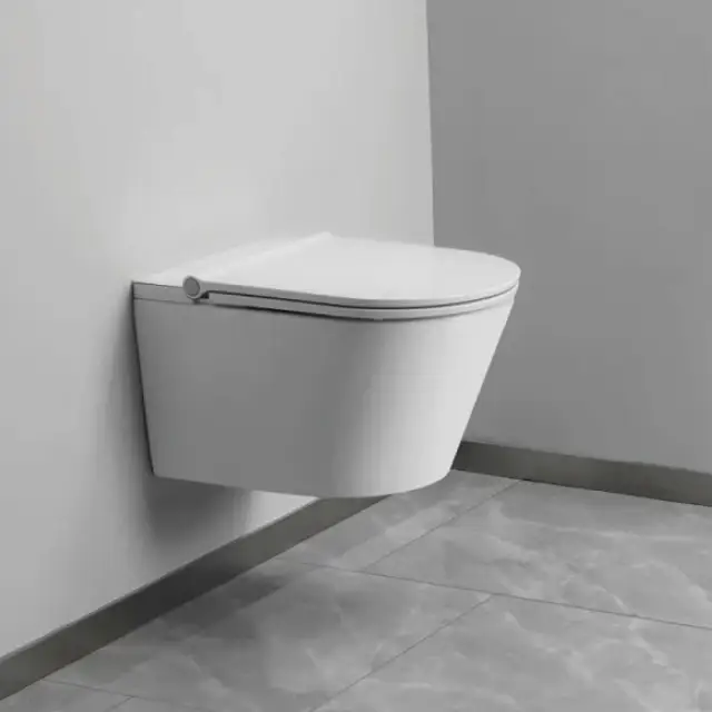 Dusch WC kostenlos von der Pflegekasse